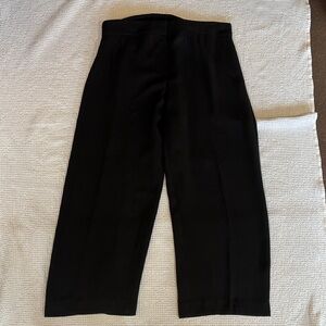 Eileen Fisher Silk Black Dress Slacks Trousers, Zip Fly, Wide Leg, Large, NWOT